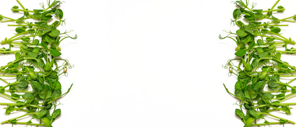 Similar image 21360765