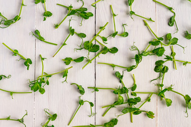 Similar image 21361377