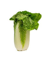 Similar image 21361568