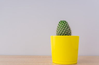 Similar image 21361573