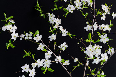 Similar image 21361582