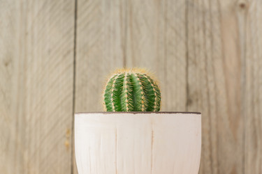 Similar image 21361585