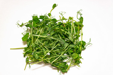 Similar image 21361588