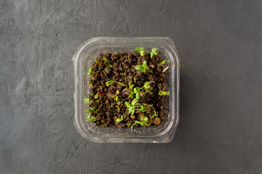 Similar image 21361606