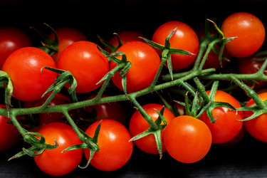 Similar image 21361651