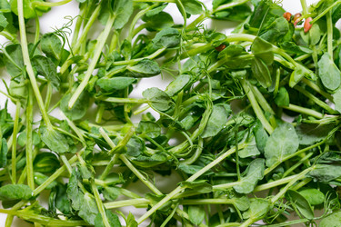 Similar image 21360712