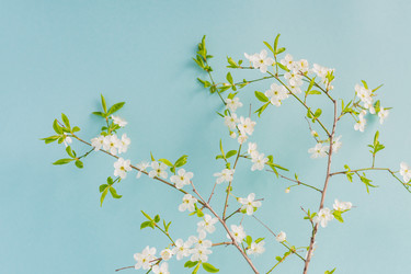 Similar image 21360795