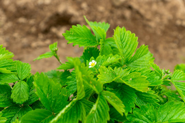 Similar image 21361386