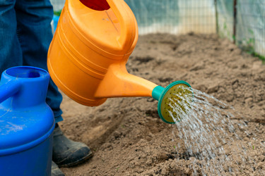 Similar image 21361387