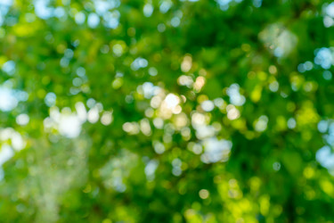 Similar image 21361395