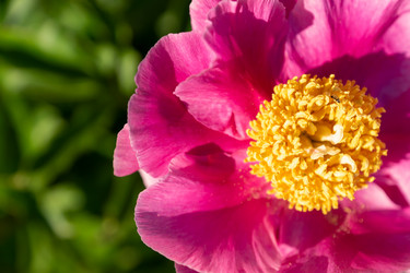 Similar image 21361398