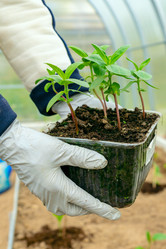 Similar image 21361399