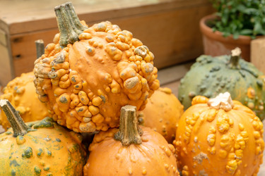 Similar image 21361402