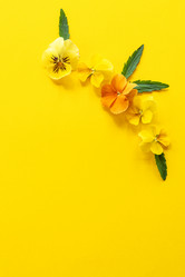 Similar image 21361405