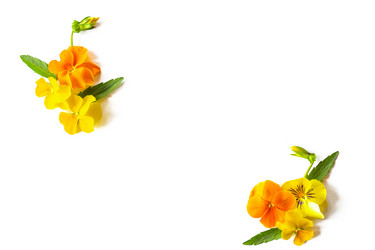 Similar image 21361409