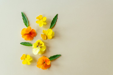 Similar image 21361411