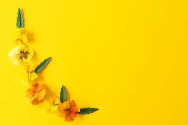 Similar image 21361413