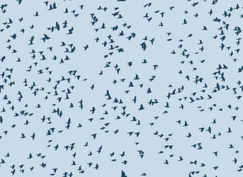 Similar image 21343398