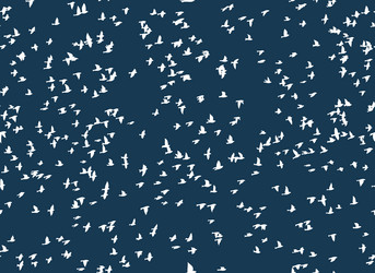 Similar image 21343399