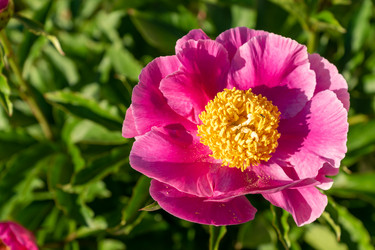 Similar image 21360761