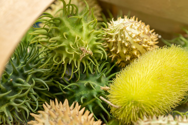 Similar image 21360763