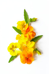 Similar image 21360781