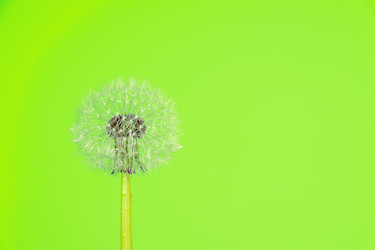 Similar image 21360784