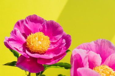 Similar image 21360803