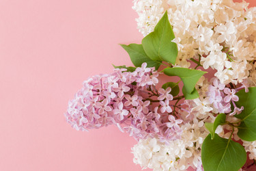 Similar image 21360816