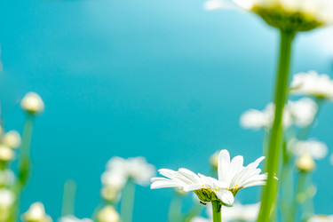 Similar image 21360824