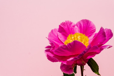 Similar image 21361219