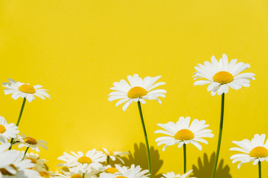 Similar image 21361291