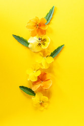 Similar image 21361292