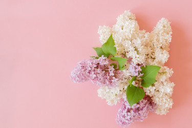 Similar image 21361295