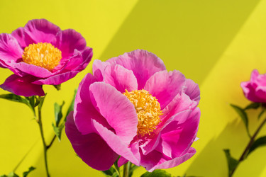 Similar image 21361305