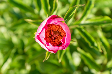 Similar image 21361306