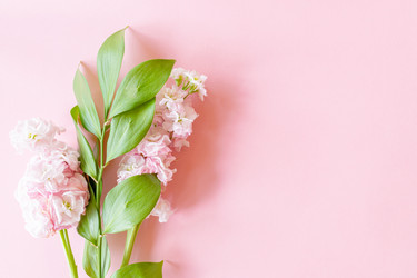 Similar image 21361307