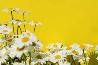 Similar image 21361317