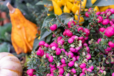 Similar image 21361423