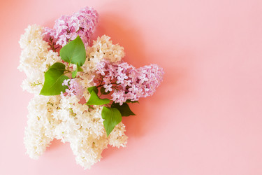 Similar image 21361425