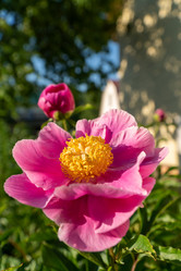 Similar image 21361429