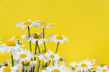 Similar image 21361434