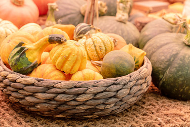 Similar image 21361443