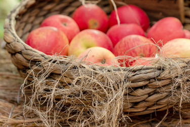 Similar image 21361445