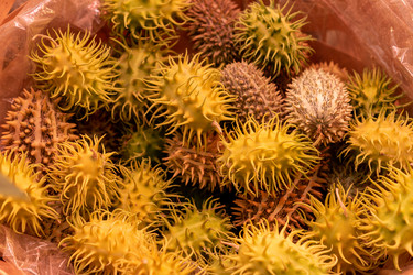 Similar image 21361614