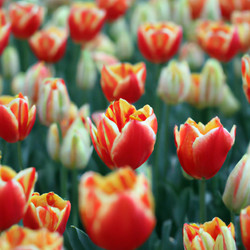 Similar image 21375192