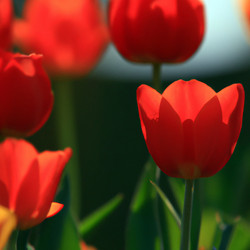 Similar image 21375197