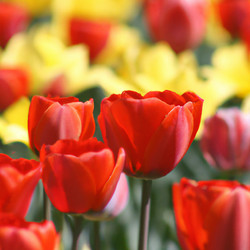 Similar image 21375199