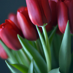 Similar image 21375409