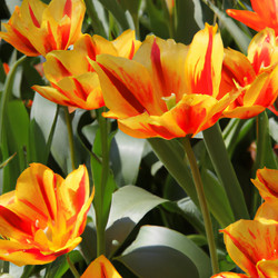 Similar image 21375413